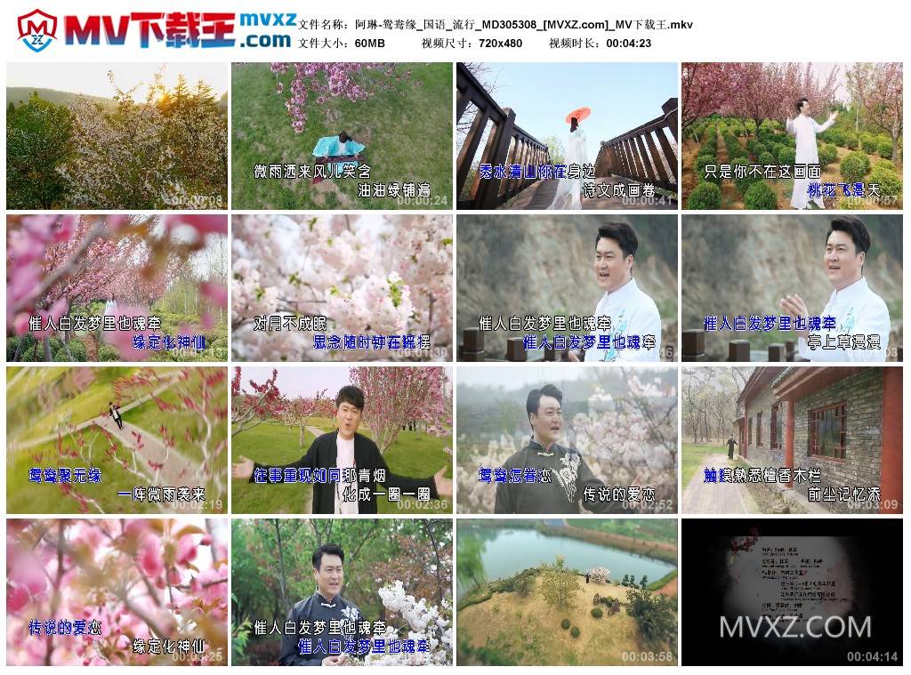 阿琳-鸳鸯缘_国语_流行_MD305308